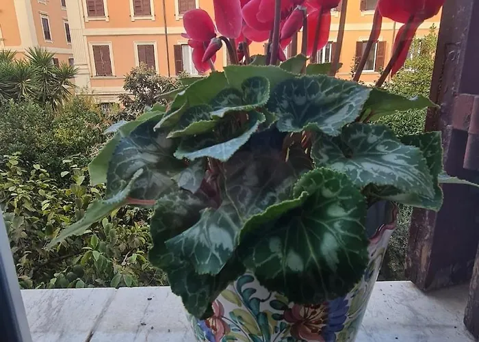 La Perla Appartement Rome